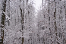Sneeuwpret in Biddinghuizen