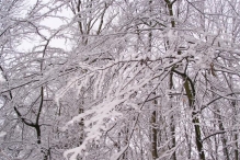 Sneeuwpret in Biddinghuizen