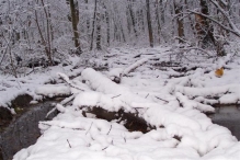 Sneeuwpret in Biddinghuizen