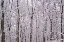 Sneeuwpret in Biddinghuizen