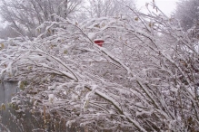 Sneeuwpret in Biddinghuizen