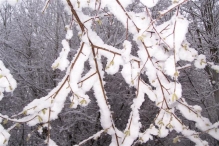 Sneeuwpret in Biddinghuizen