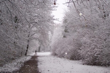 Sneeuwpret in Biddinghuizen