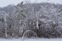 Sneeuwpret in Biddinghuizen