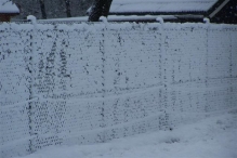 Sneeuwpret in Biddinghuizen