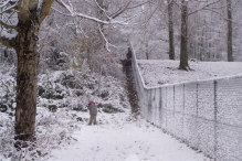 Sneeuwpret in Biddinghuizen