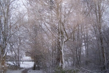 Sneeuwpret in Biddinghuizen