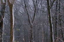 Sneeuwpret in Biddinghuizen