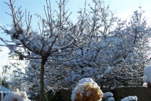 Sneeuwpret in Biddinghuizen