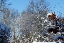 Sneeuwpret in Biddinghuizen