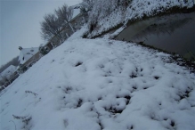 Sneeuwpret in Biddinghuizen