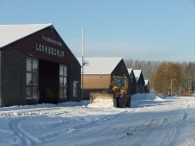Winter in Biddinghuizen
