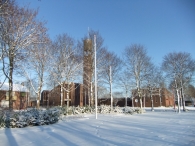 Winter in Biddinghuizen