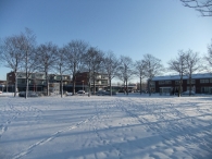 Winter in Biddinghuizen