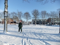 Winter in Biddinghuizen