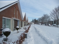 Winter in Biddinghuizen