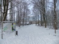 Winter in Biddinghuizen
