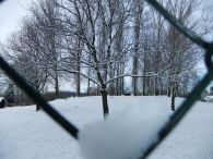 Winter in Biddinghuizen