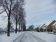 Winter in Biddinghuizen