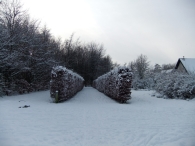 Winter in Biddinghuizen