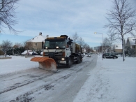 Winter in Biddinghuizen