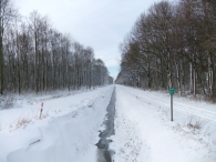 Winter in Biddinghuizen