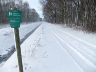 Winter in Biddinghuizen