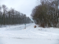 Winter in Biddinghuizen