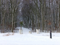 Winter in Biddinghuizen