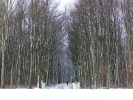 Winter in Biddinghuizen