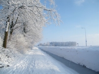 Winter 2010 (03-01)