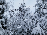 Winter 2010 (03-01)