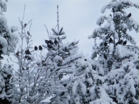 Winter 2010 (03-01)