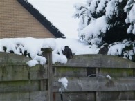 Winter 2010 (03-01)