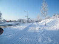 Winter 2010 (03-01)