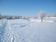 Winter 2010 (03-01)