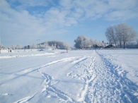 Winter 2010 (03-01)