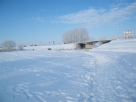 Winter 2010 (03-01)