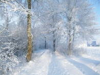 Winter 2010 (03-01)