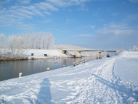 Winter 2010 (03-01)