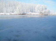 Winter 2010 (03-01)
