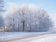 Winter 2010 (03-01)