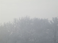 Winter 2010 (03-01)