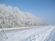 Winter 2010 (03-01)