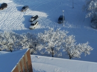 Winter 2010 - Vanaf de toren