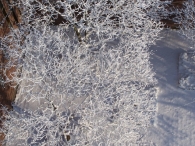 Winter 2010 - Vanaf de toren