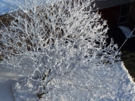 Winter 2010 - Vanaf de toren