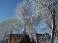 Winter 2010 - Vanaf de toren