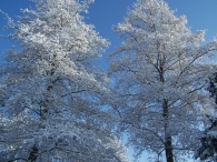 Winter 2010 - Vanaf de toren