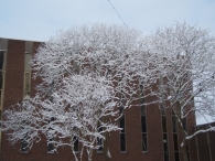 Winter 2010 - Vanaf de toren